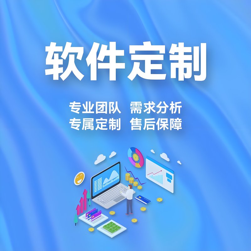 上海软件开发：把握数字化转型新机遇