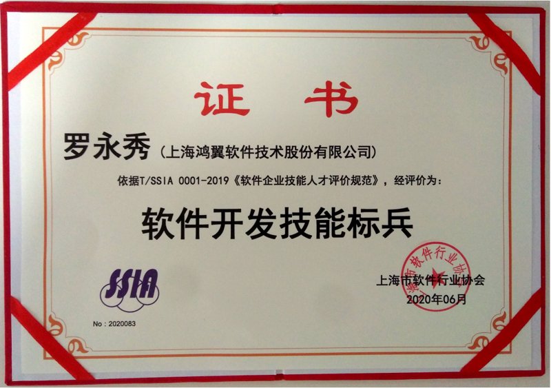 软件开发行业在上海的新篇章